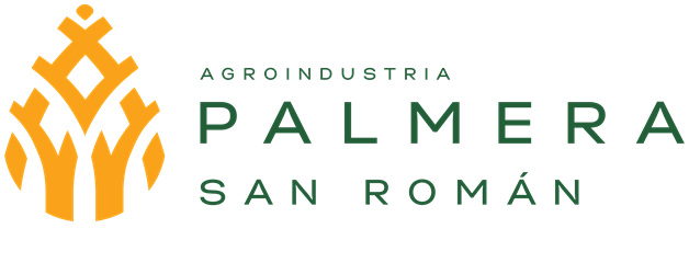 Logo San Roman